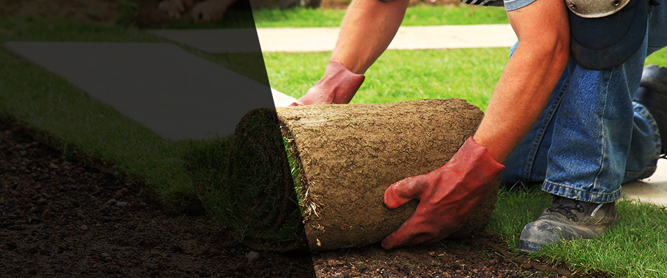 Prentiss Landscapers